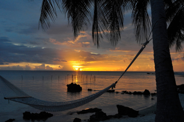 Le Coconut Lodge - 