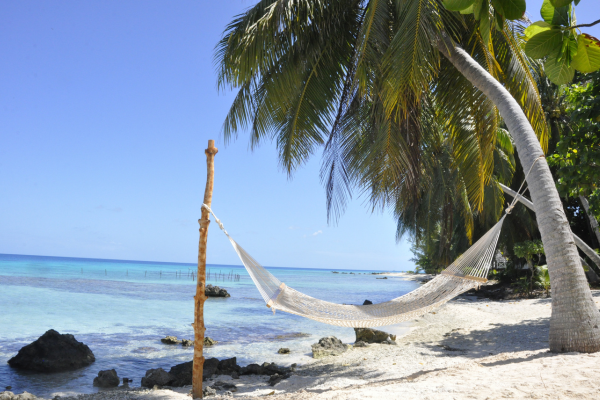 Le Coconut Lodge - 