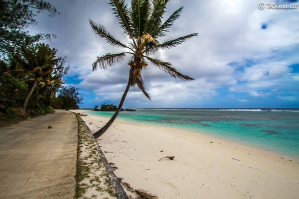 La Perruche Rouge - Plage