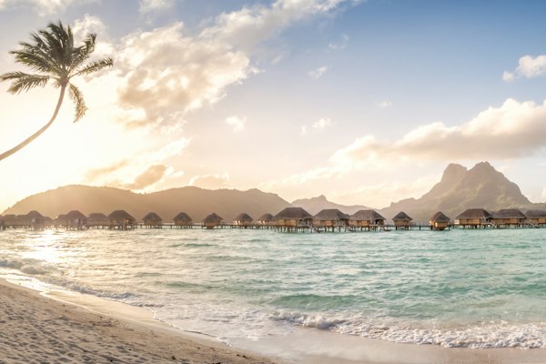 Le Bora Bora by Pearl Resorts - Beach