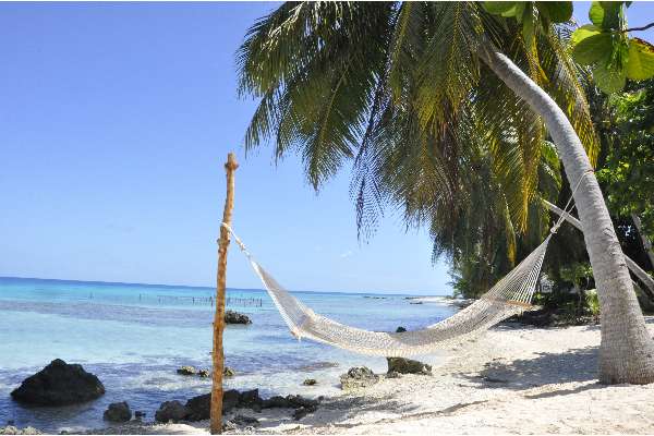 Le Coconut Lodge - Le Coconut Lodge