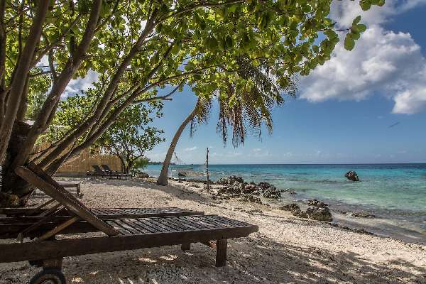 Le Coconut Lodge - The Coconut Lodge