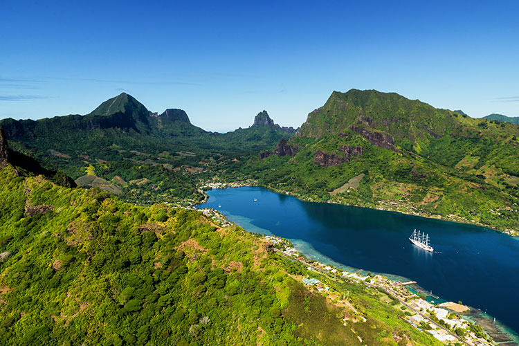 Whale Watching and Polynesian Paradise - Moorea