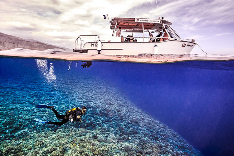 Adventures in Paradise - Top Dive