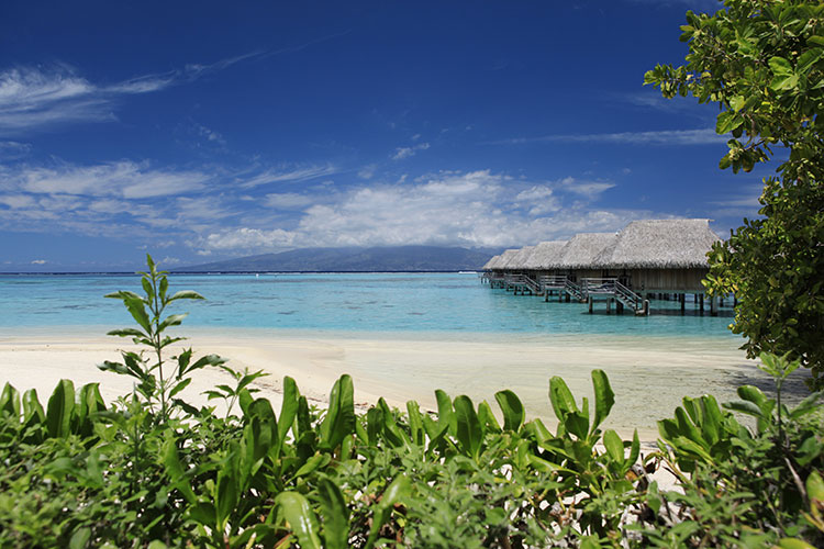 Retreat in Moorea from Los Angeles - Sofitel Kia Ora Moorea Beach Resort