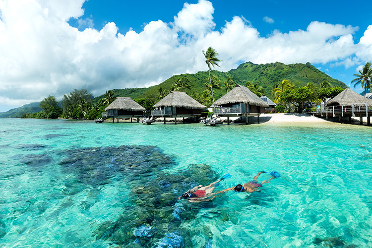 Overwater Paradise - Hilton Moorea Lagoon Resort & Spa