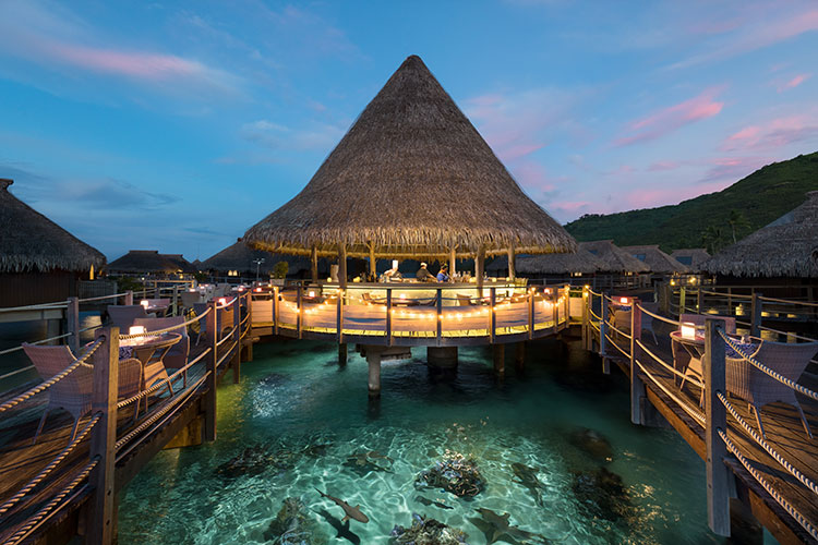 Overwater Paradise - Hilton Moorea Lagoon Resort & Spa