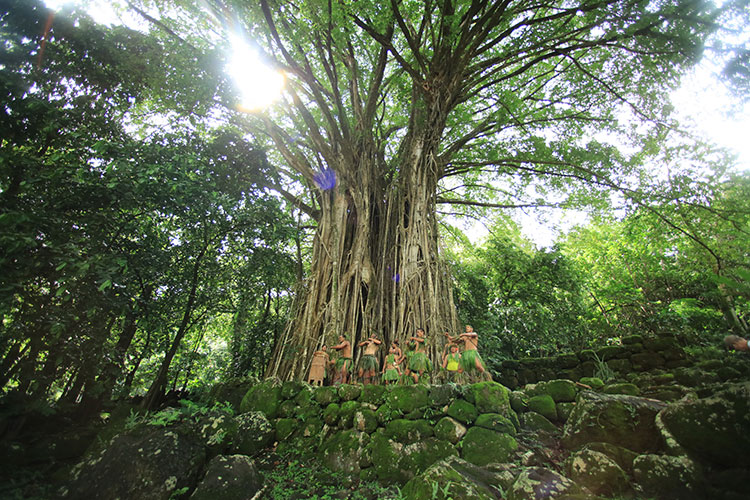 Marquesas Islands by Sea - Nuku Hiva