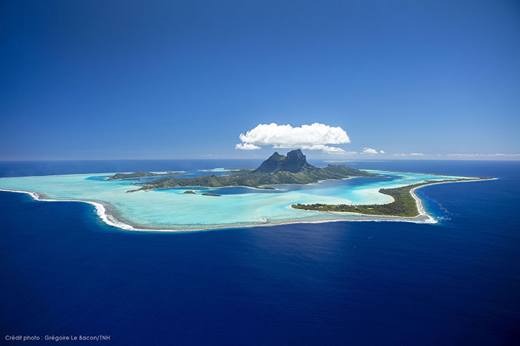 Put your Flippers on in Moorea and Bora Bora - Bora Bora