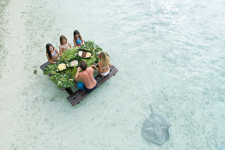 Island Cocoon - Moorea