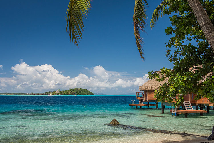 Put your Flippers on in Moorea and Bora Bora - Maitai Polynesia Bora Bora