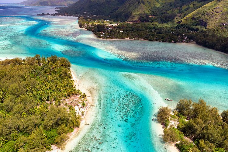 Paradise on a Budget - Moorea