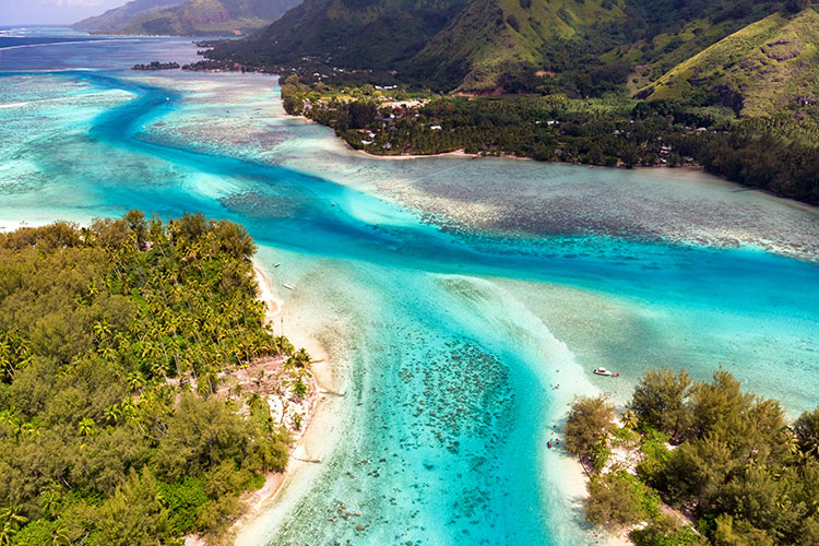 Moorea in all Simplicity - Moorea