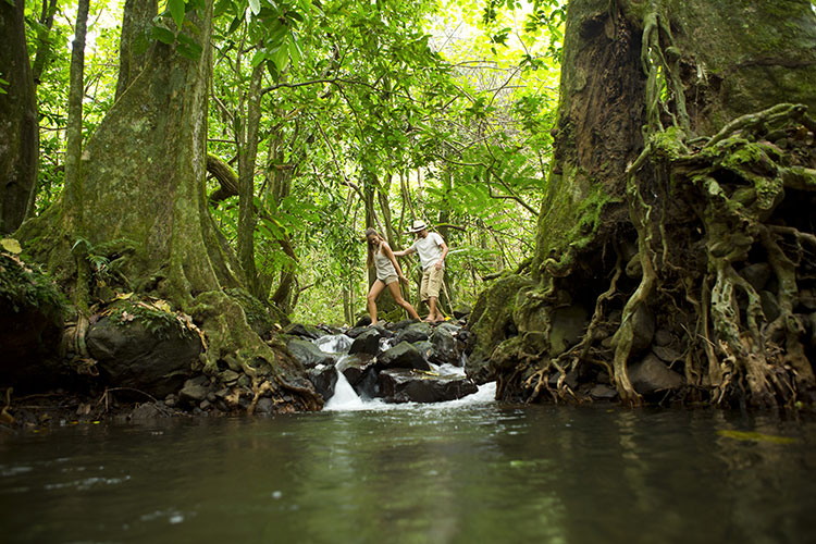 Off the Track Paradise  - Moorea