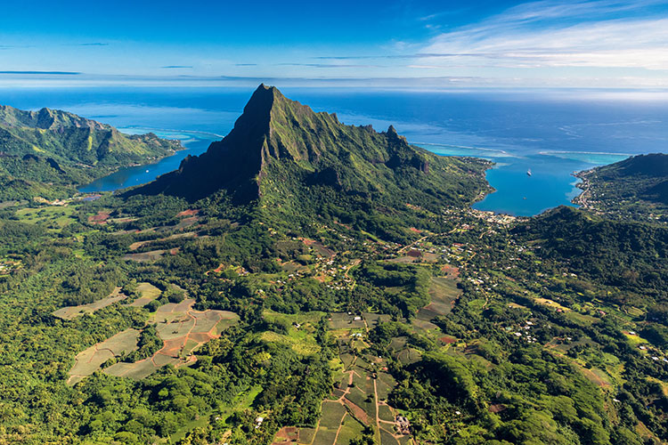 Off the Track Paradise  - Moorea