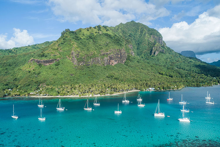 Island Cocoon from Sydney - Moorea