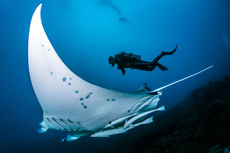 Sunny Lagoon from London - Top dive