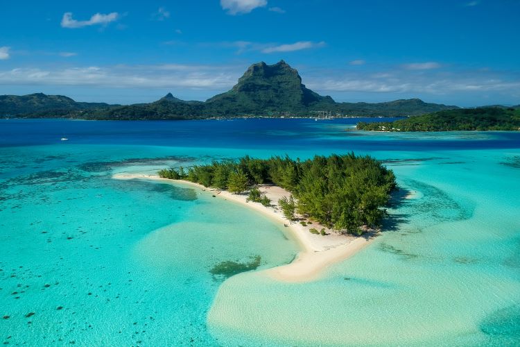 Whale Watching and Polynesian Paradise - Bora Bora