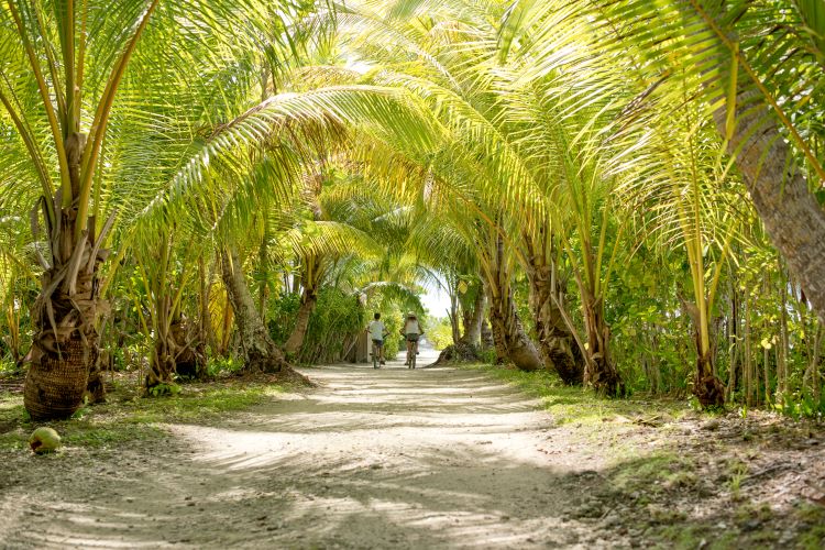 Romance aboard the Aranui - Rangiroa