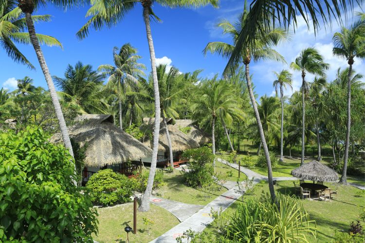 Lagon doré - Raira Lagon