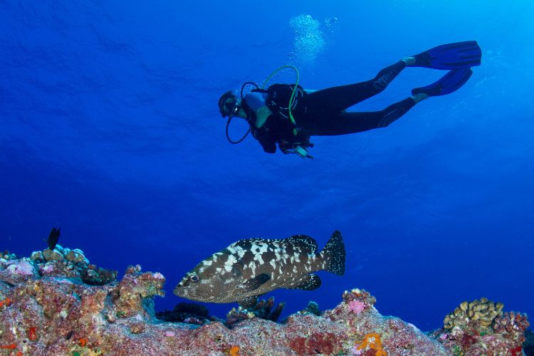 Lagon doré - O2 Fakarava