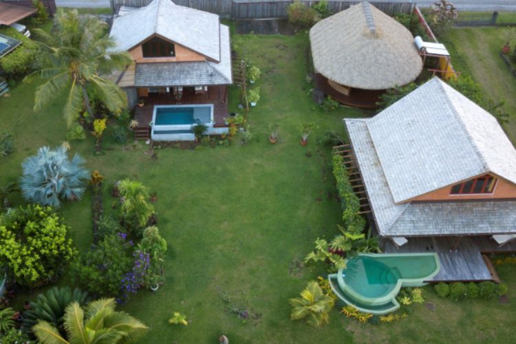 Observation des baleines et paradis polynésien - Omati Lodge