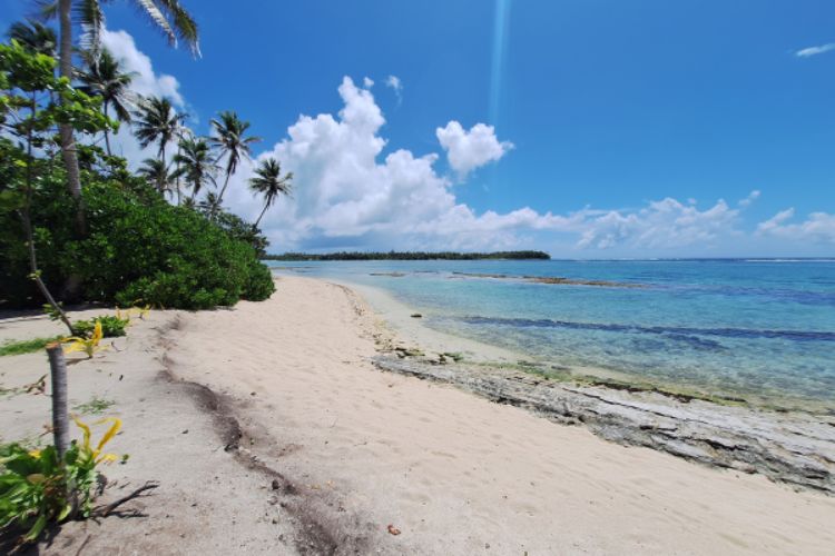 Natihere, le lien d'amour - Parea Lodge