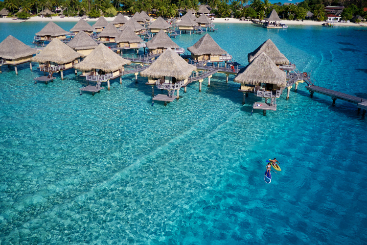 Underwater Wonders from Montréal - 