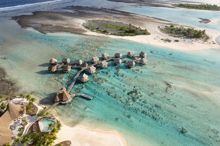 Underwater Wonders from Toronto - 