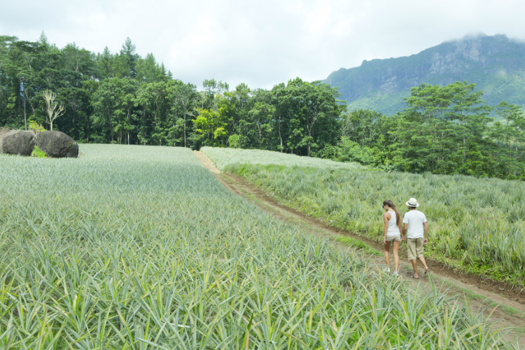 Your Tahitian Haven - Tahiti tourisme