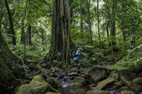 Tahiti Moorea Ultra Trail : Prix mini pour un Parcours hors Normes - © Olivier Vin