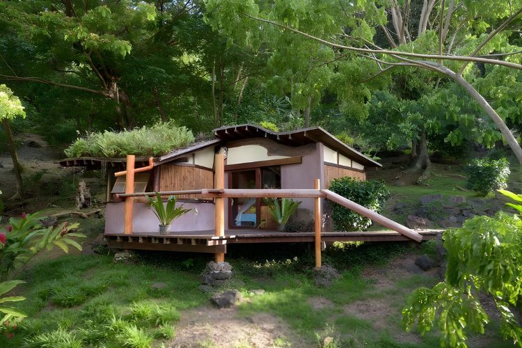 Tahiti Moorea Ultra Trail : au coeur de l'authenticité polynésienne - Fare Oviri