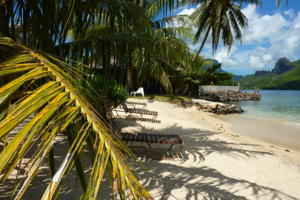 Tahiti Moorea Ultra Trail : Beyond the finish line - Hotel Kaveka
