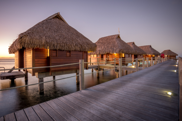 Tahiti Moorea Ultra Trail : Courez l'exploit, savourez la victoire - Manava Beach Resort & Spa Moorea