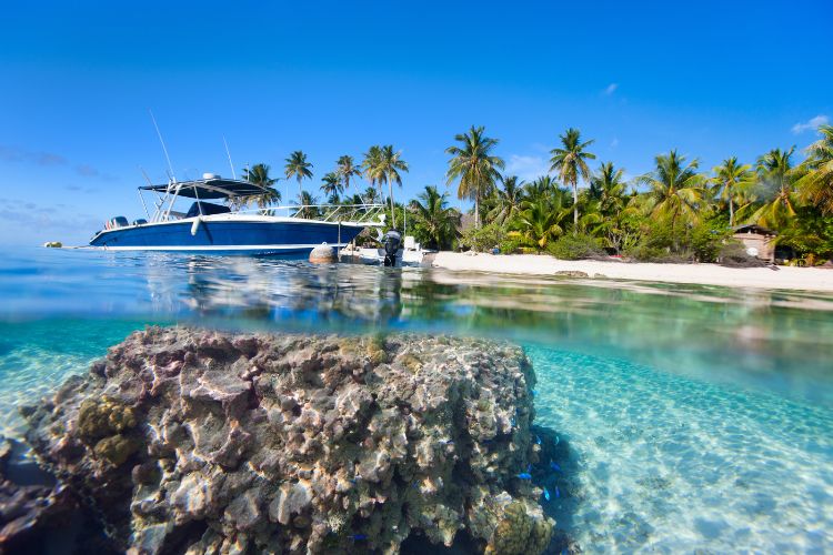 Package Éco & Partage - Ori Tahiti Nui Compétitions 2026 - Lagon de Moorea