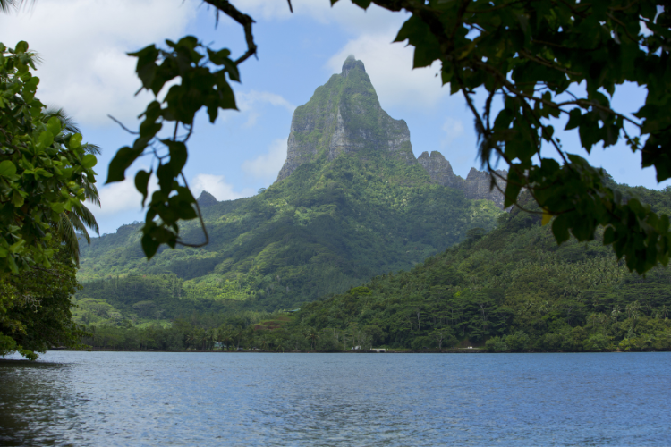 XTERRA Tahiti Moorea - Triathlon 2026 : Le Défi polynésien - Moorea