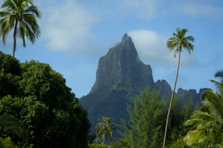 XTERRA Tahiti Moorea - 2026 Triathlon : Untamed trails, refined paradise - Moorea