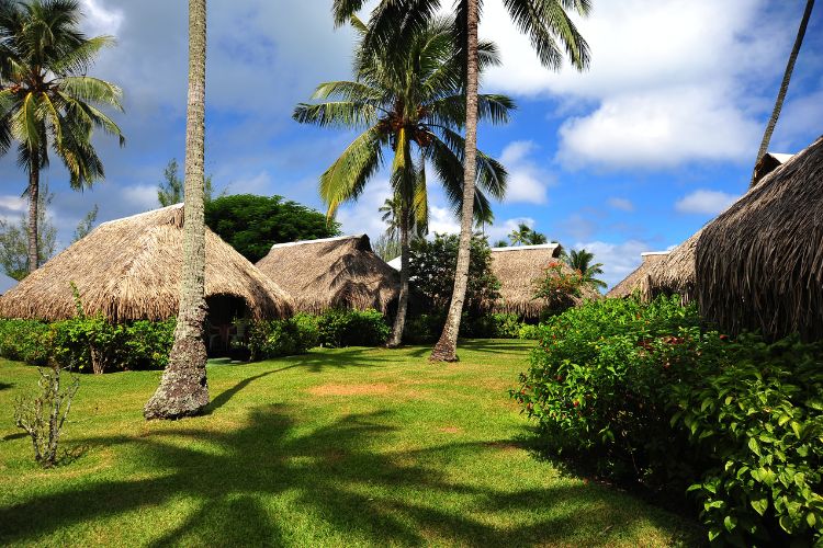 Package Éco & Partage - Ori Tahiti Nui Compétitions 2026 - Hôtel Hibiscus