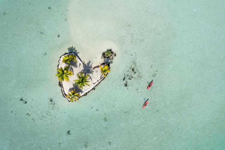 Perles des îles - 