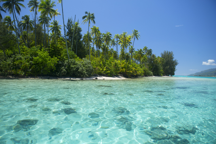 Entre Lagon translucide et Terres sauvages - © Grégoire Le Bacon