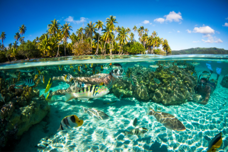 Au Rythme des Îles - 