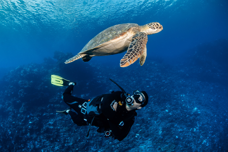 Entre Terre et Mer
