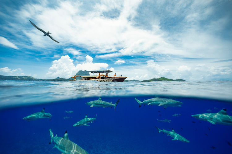 Entre Terre et Mer - © Grégoire Le Bacon