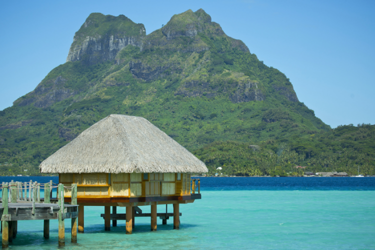 Hidden Gem - 