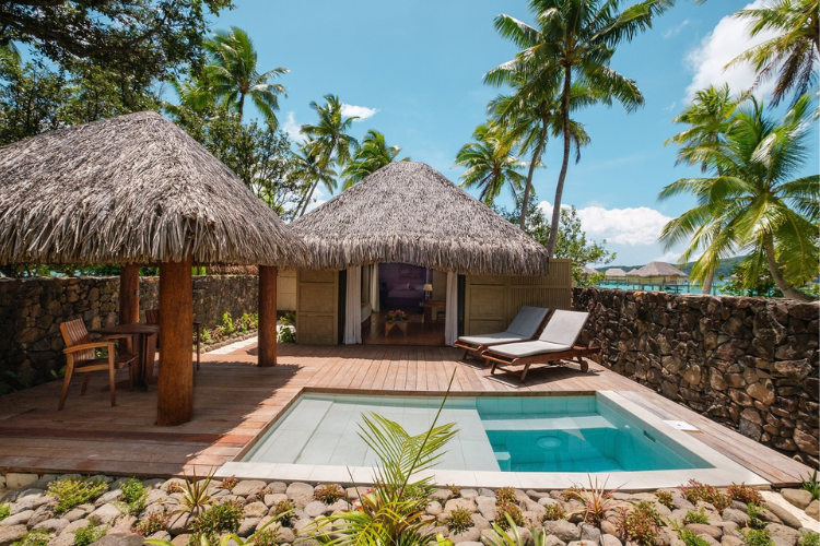 Under the Starry Sky - Le Tahaa 