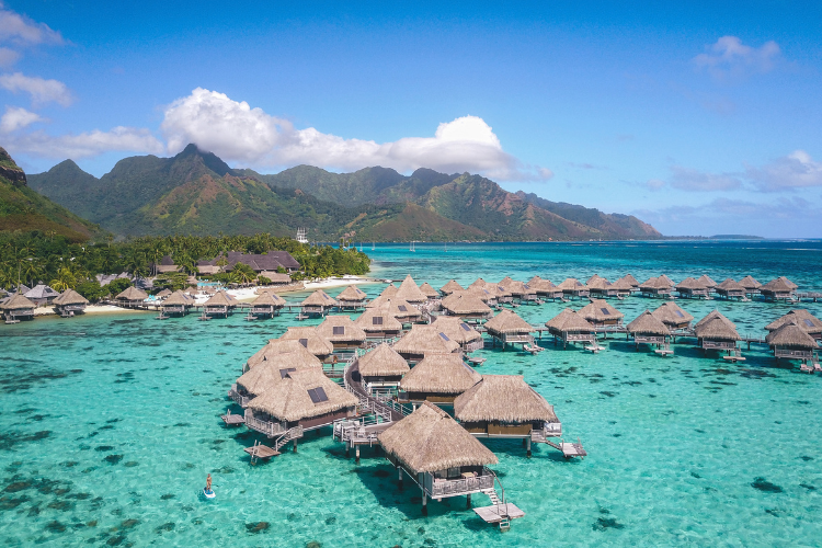 Luxury Retreat of a Special Kind - 