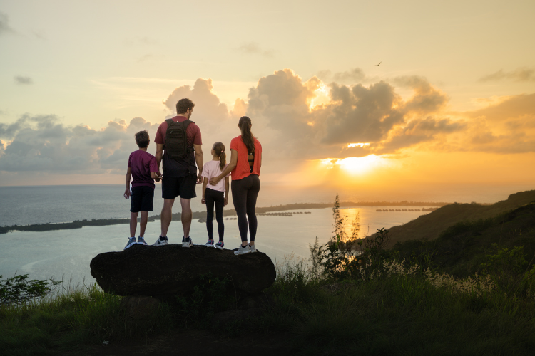 Family Cocoon - 