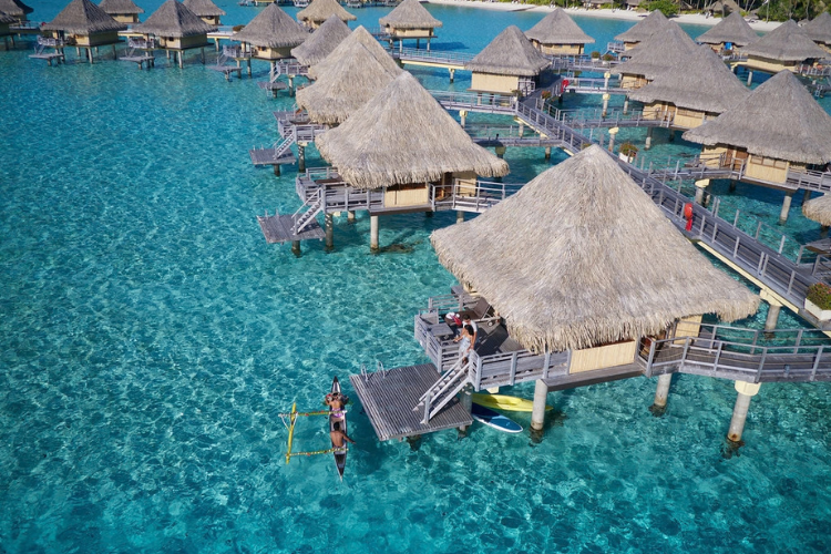 Whale Watching and Polynesian Paradise - 