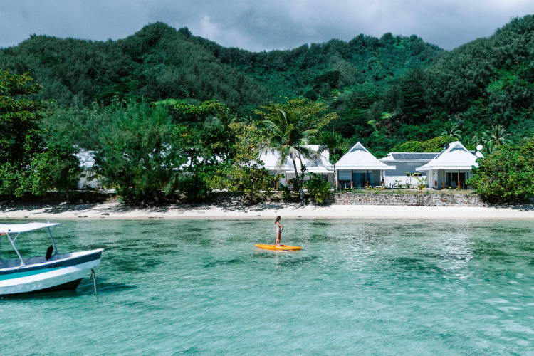 Whale Watching and Polynesian Paradise - 