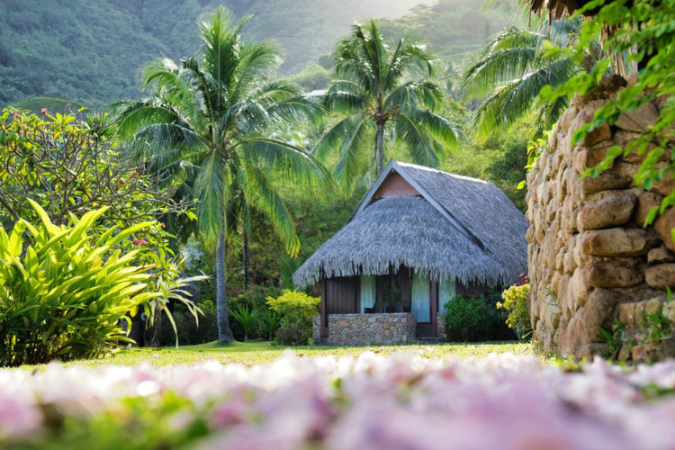 Retreat in Moorea - 